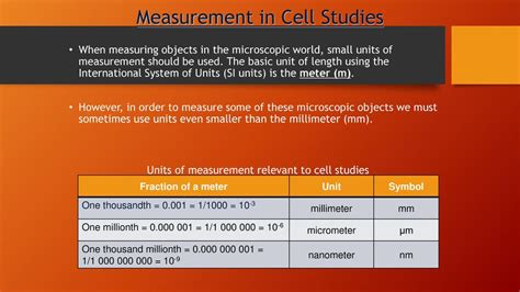 𝝁m: A Microscopic Revolution in Precision Measuring