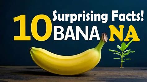 🍌🍌🍌10 Things You Never Knew About Bananas🍌🍌🍌