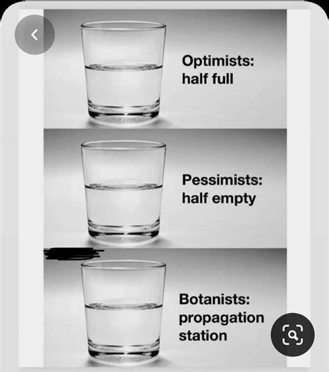 👀😂 Eyes Watering Meme: A Comprehensive Analysis of Its Evolution and Impact