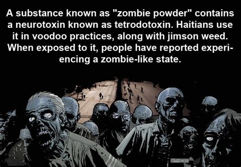 👻 10,000+ Fascinating Facts About Zombies Anime
