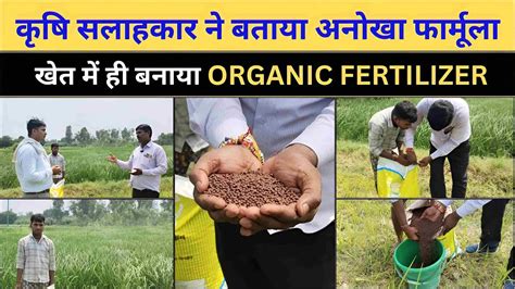 💰💰 Organic Fertilizer Machine Price: Everything You Need to Know in 2023 💰💰