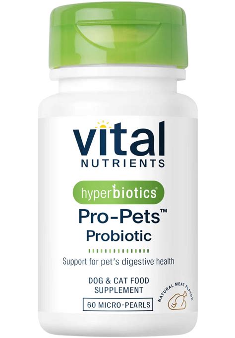 📝 3 Vital Skin Nutrients for Pets in 2025