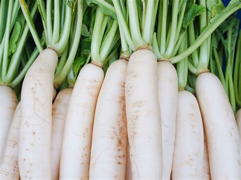 🤔 Radish Renaissance: The Surprising Versatility of This Underrated Veggie