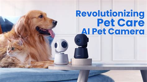 🤖 AI Robot Pets: 2025 Revolutionizing Pet Care & First Aid