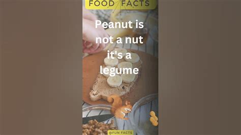 🥜 Peanuts: The Mighty Legumes That Pack a Punch 🥜