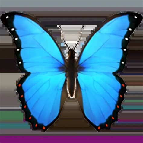 🦋 Bugalugs Butterfly Review: A Comprehensive Guide to the 2025 Must-Have