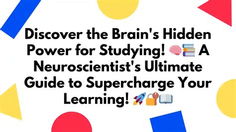 🧠 The Brain: Your Ultimate Control Center