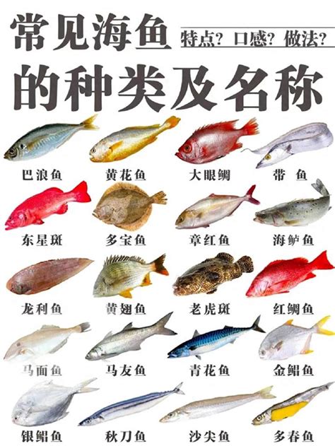 𩶘魚的種類