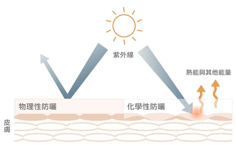  **物理防曬的優勢**