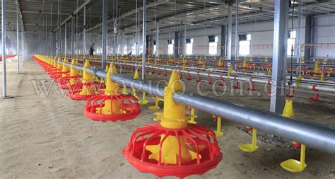  **Types of Poultry Feed Equipment** 