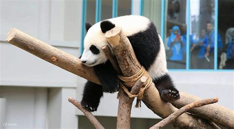  吉隆坡動物園