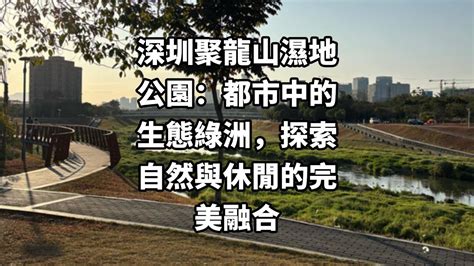  善化公園：探索休閒與生態綠洲