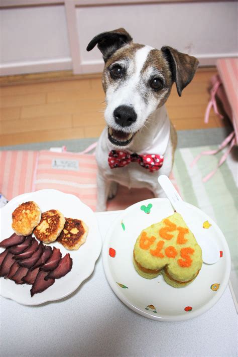  愛犬の霊とのコミュニケーション 