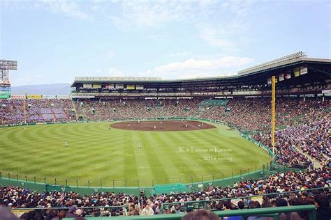  甲子園的门票价格 