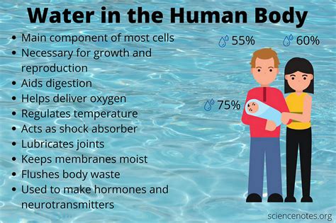  3 Crucial Reasons Why Water is the Lifeline of Life 