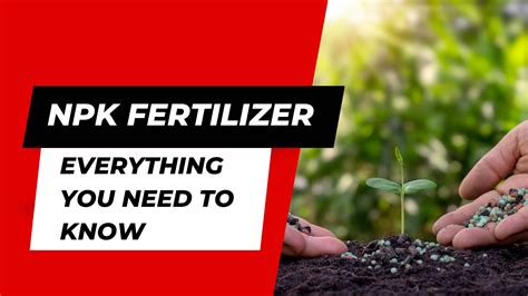  Discover the Power of NPK Fertil Machin for Enhanced Plant Growth 