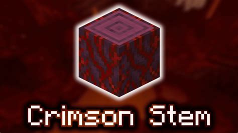  Discovering the Enchanting Crimson Stem 