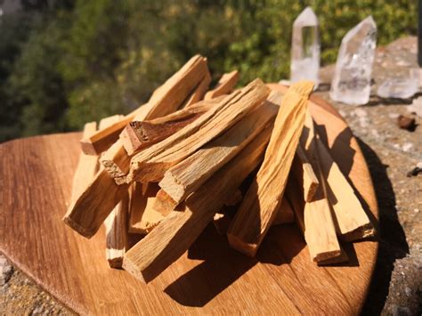  Ethically Sourced Palo Santo: Unlocking the Benefits of a Sacred Tree 