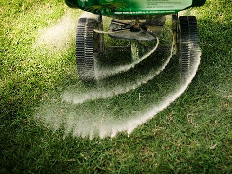  Fertilizing Service: What It Is and Why It Matters 