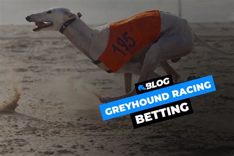  Greyhound Bet: A Complete Guide to Maximizing Your Winnings 