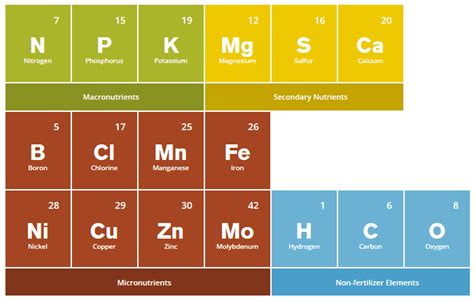  Micronutrients Fertilizer: The 7 Essential Elements Your Plants Need