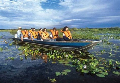  Oportunidades do Turismo no Pantanal 