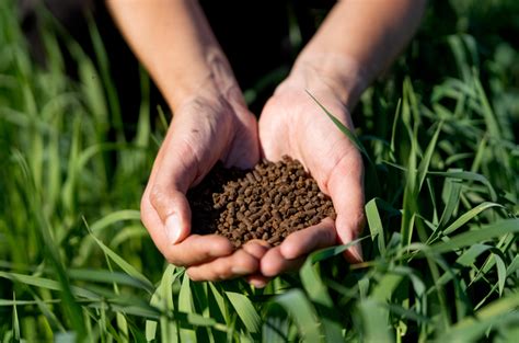  Organic fertilizers are on the rise 