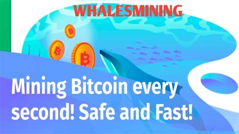  WhalesMining: The Future of Cryptocurrency Mining