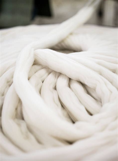 - Merino Wool: