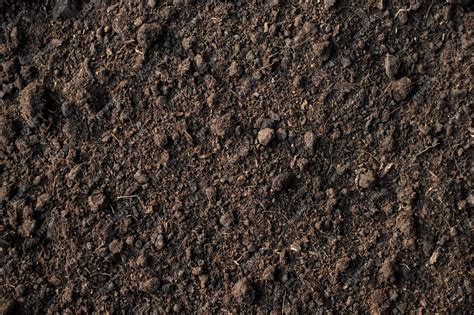 - Soil Texture: