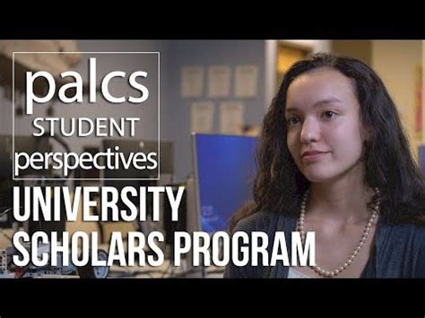 - University Scholars Program (USP)