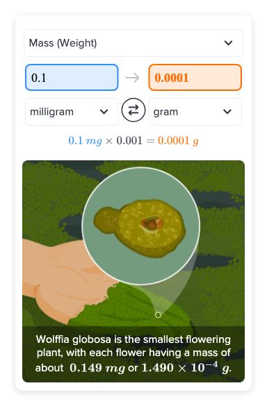 0.1 Gram to MG: A Comprehensive Guide