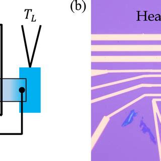 0.1m cm, A Microscopic Measurement with Macroscopic Possibilities