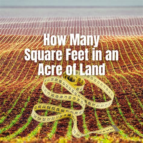 09 Acres Square Feet: A Comprehensive Guide