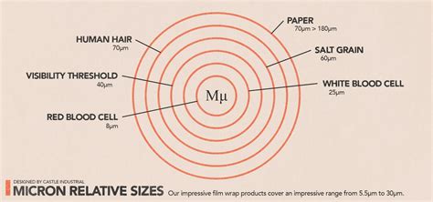 1,000 Microns in 1 Millimeter: Understanding the Microscopic World