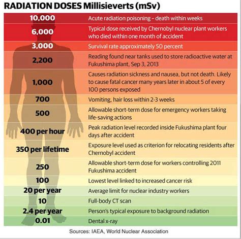 1,000 Millisieverts: What It Means for You