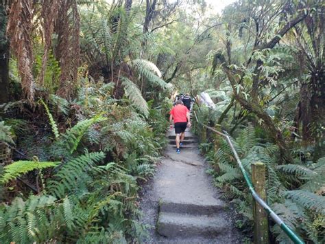 1,000 steps to the PATH train station: