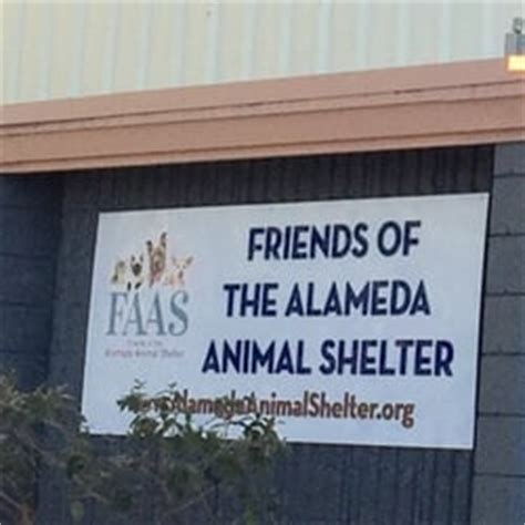 1,2,3,4... Get Involved with Friends of the Alameda Animal Shelter