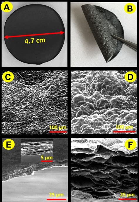 1 Centimeter Long: The Unbelievable Potential of the Microscopic