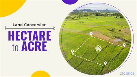 1 Hectare = 2.47105 Acres: A Comparative Guide to Land Measurement