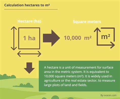 1 Hectare to 100,000 Square Meters: A Comprehensive Guide