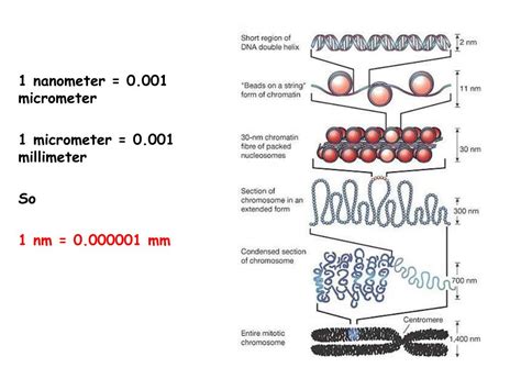 1 Nanometer (nm) = 0.000001 Millimeters (mm) = 0.000000001 Centimeters (cm)