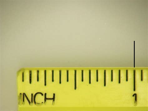 1 inch