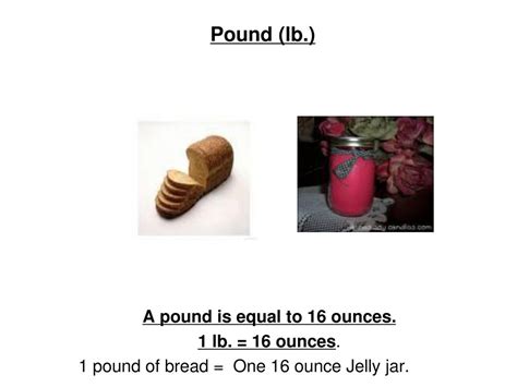 1 pound (lb) is equal to: