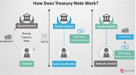 1-Year US Treasury Notes: A Guide for Investors