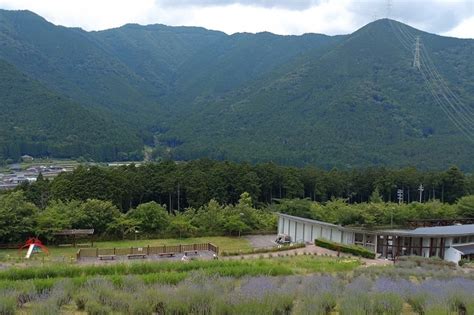 1. かすみがうら市「ラベンダーの郷」