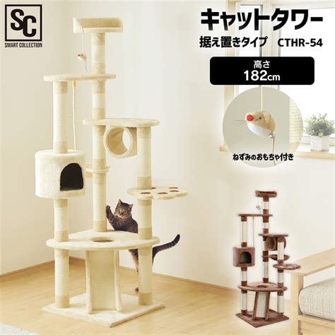 1. アイリスオーヤマ キャットタワー ニャンポコ デュアルキャット タワー ハウス付き キャットステップ付き