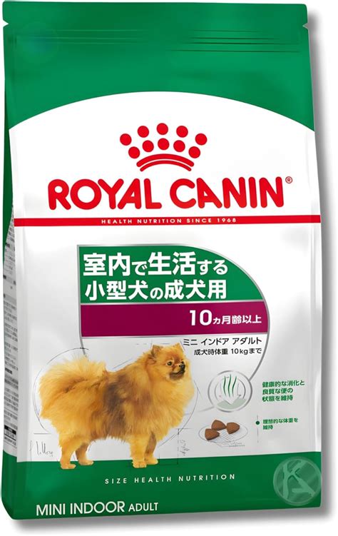 1. アダルト犬の特徴