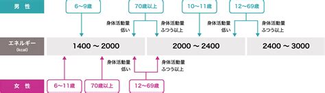 1. エネルギーレベルが高い