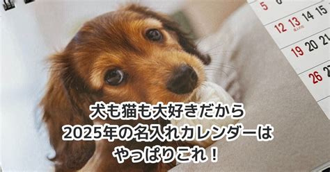 1. カレンダー犬猫の魅力